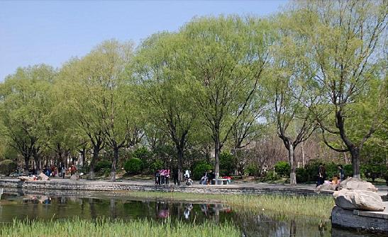 西郊森林公園踏青美景