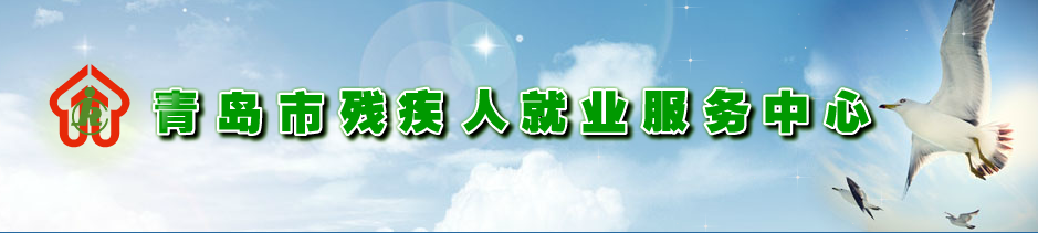 新中天為青島市殘疾人聯合會(huì)2015年業務軟件開(kāi)發(fā)項目提供維保服務